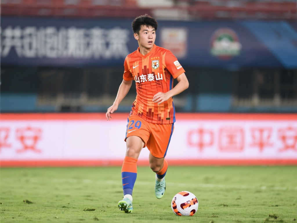 的背景下 的背景下